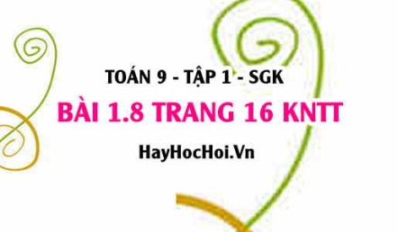 Bài 1.8 trang 16 Toán 9 tập 1 Kết nối tri thức SGK